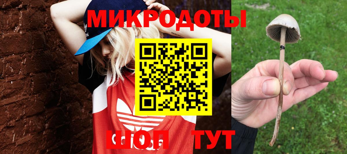 Волгоград  Галлюциногенные грибы Magic Shrooms  Вход с VPN 